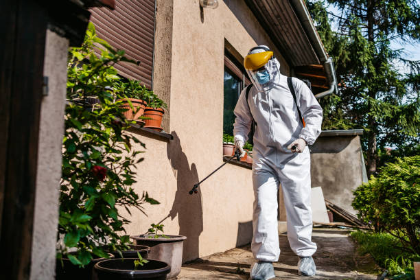 Best Exterminator Services  in Perth Amboy, NJ