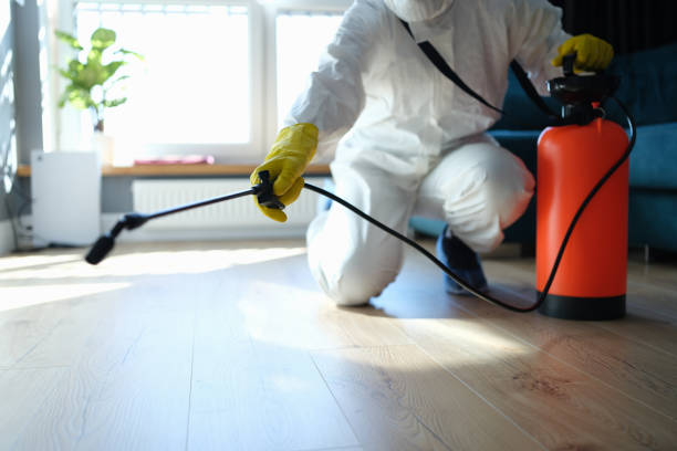 Best Termite Control Services  in Perth Amboy, NJ